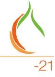 logo nrj21 - specialiste poele à bois et granulés